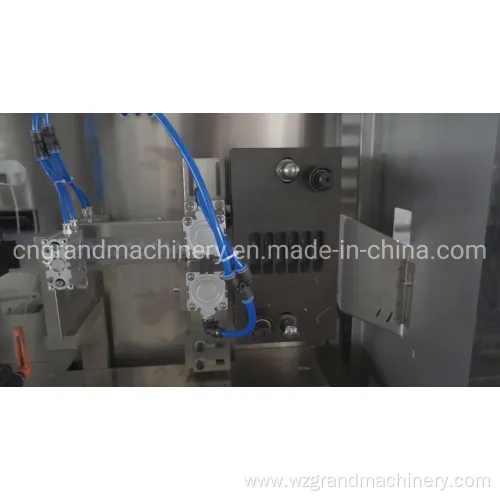 Packaging Machine Vertical Filling Machine Ggs-118 (P5)